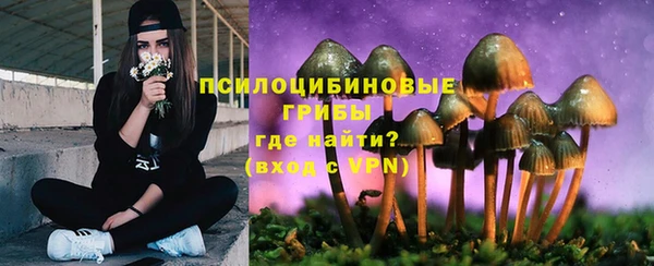 скорость Алексин