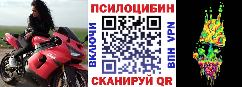 Псилоцибиновые грибы GOLDEN TEACHER  хочу наркоту  Мамоново 